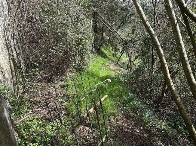 4.5 Zimmer Einfamilienhaus in Molinazzo di Monteggio – Foto 11 von 13