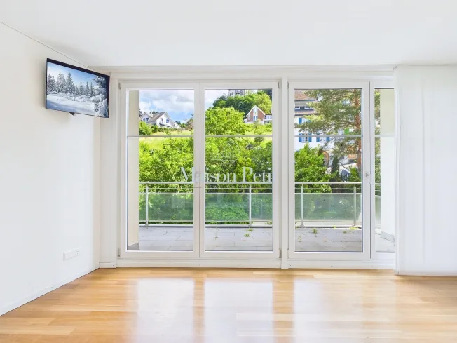 4.5 Zimmer Wohnung, 8268 Salenstein