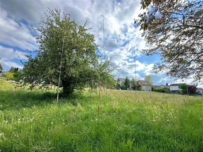5.5 Zimmer Reihenfamilienhaus in Pfyn – foto 5 di 5