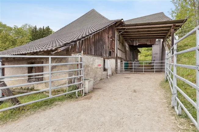 Einfamilienhaus in Berg TG – foto 11 di 15