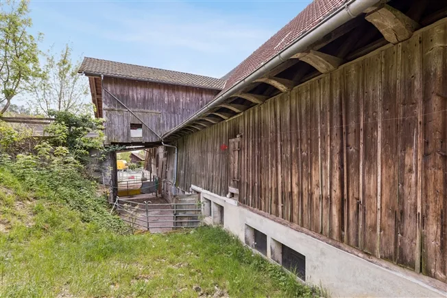 Einfamilienhaus in Berg TG – foto 9 di 15
