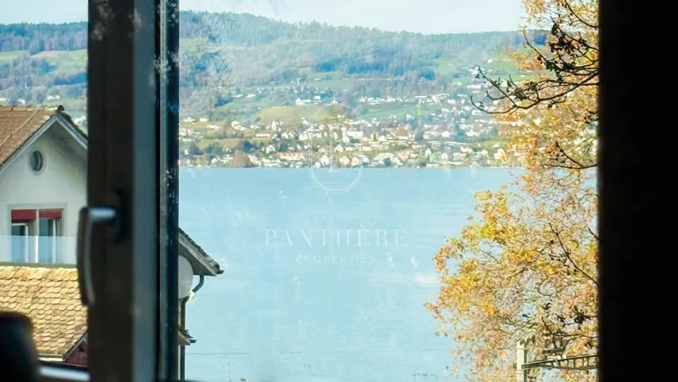 Loft, 8820 Wädenswil
