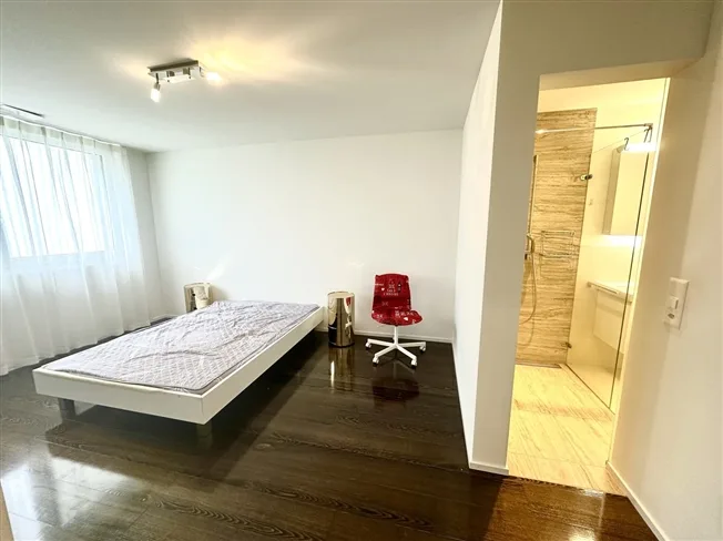 4.5 Zimmer Wohnung, 8907 Wettswil