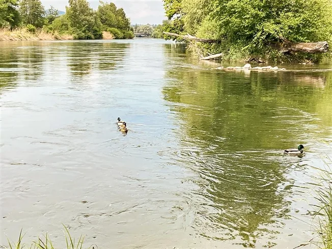 4.5 Zimmer Wohnung in Oetwil an der Limmat – Foto 2 von 3