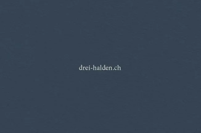 4.5 Zimmer Wohnung in Herisau – photo 9 sur 10