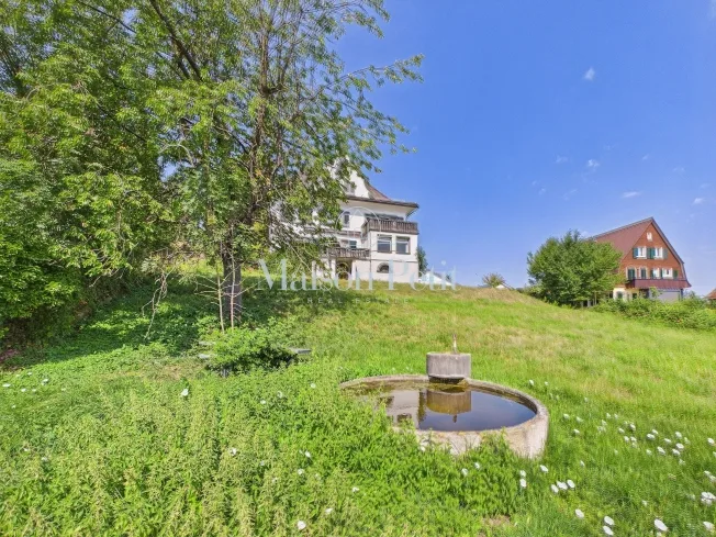 12.5 Zimmer Villa, 9230 Flawil