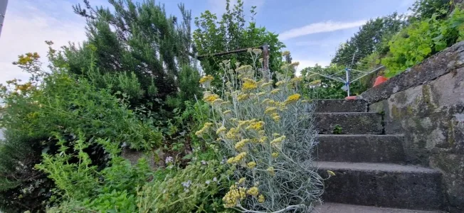 4.5 Zimmer Einfamilienhaus in Gams – photo 7 of 9