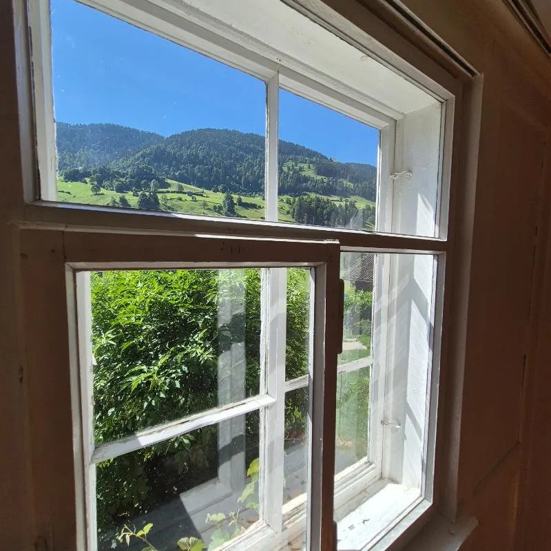 5.5 Zimmer Einfamilienhaus in Alt St. Johann – Foto 8 von 8