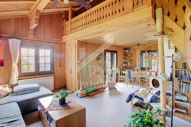 4 Zimmer Chalet, 1871 Choëx