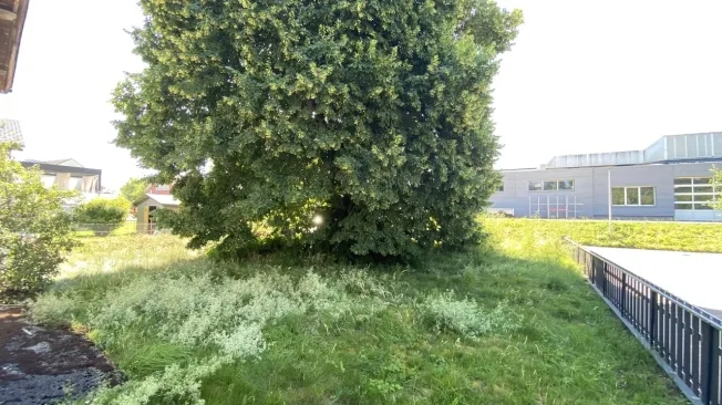5.5 Zimmer Einfamilienhaus in Alle – Foto 9 von 11