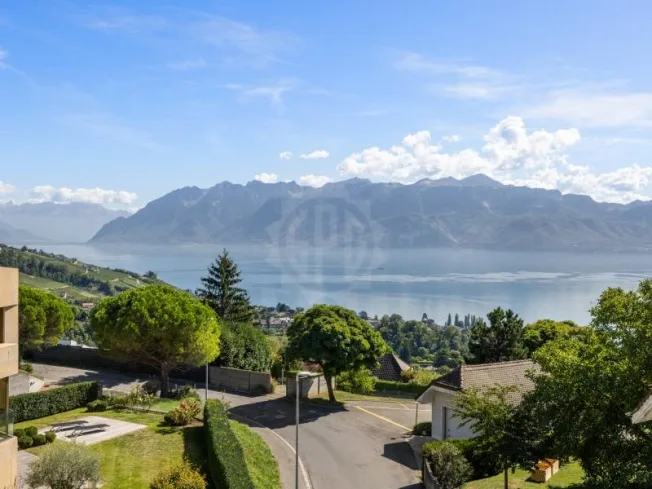 Panoramic view of Lake Geneva and the Alps – photo 5 sur 15