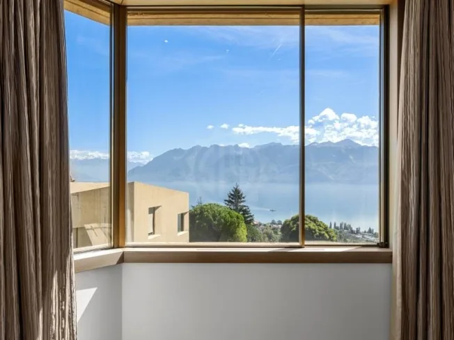 Panoramic view of Lake Geneva and the Alps – photo 13 sur 15