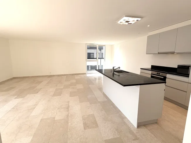 3.5 Zimmer Wohnung, 1180 Rolle