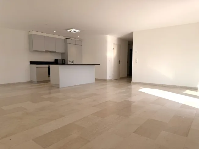 3.5 Zimmer Wohnung, 1180 Rolle