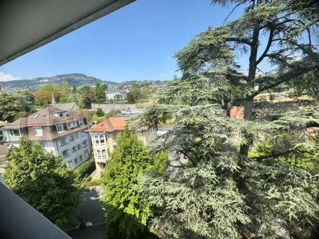 1 Zimmer Wohnung, 1800 Vevey