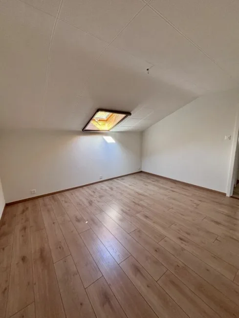 4.5 Zimmer Wohnung, 1896 Vouvry