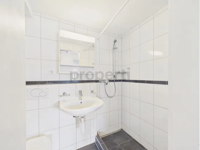 2 Zimmer Wohnung, 4414 Füllinsdorf