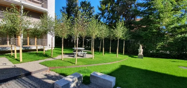 3.5 Zimmer Wohnung, 5734 Reinach AG