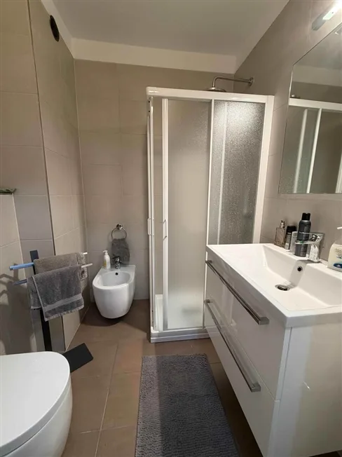 1.5 Zimmer Wohnung, 6815 Melide