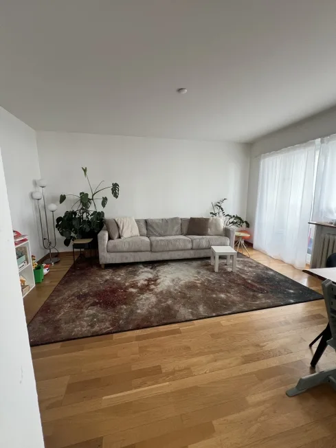 2 Zimmer Wohnung, 8003 Zürich