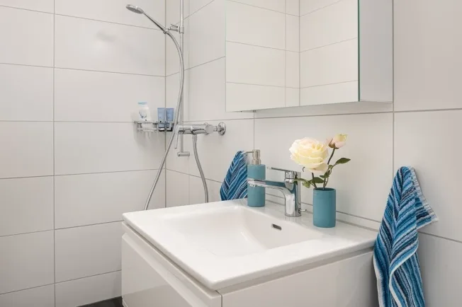 2.5 Zimmer Wohnung, 8320 Fehraltorf