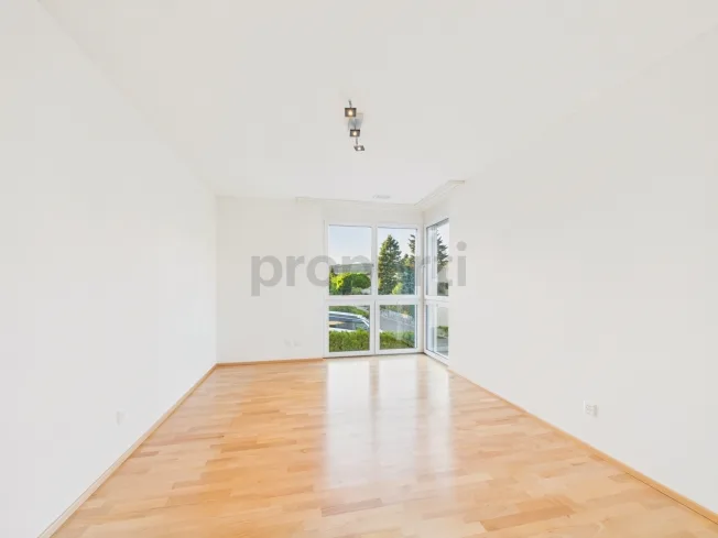 4.5 Zimmer Wohnung, 8447 Dachsen