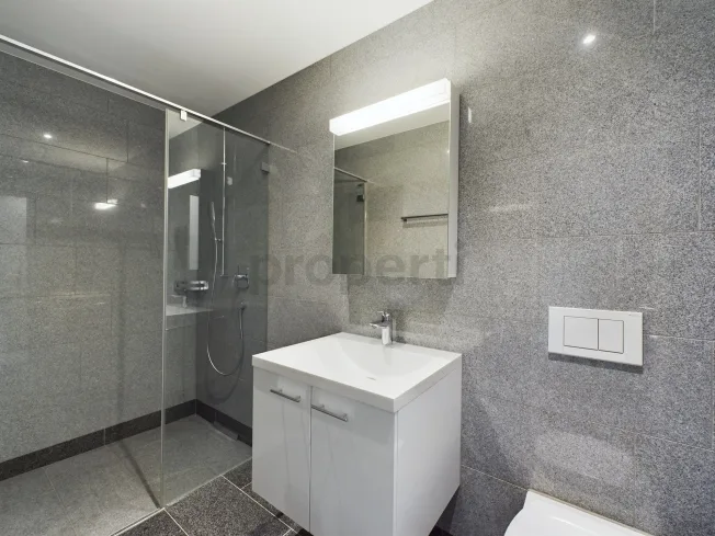 4.5 Zimmer Wohnung, 8600 Dübendorf