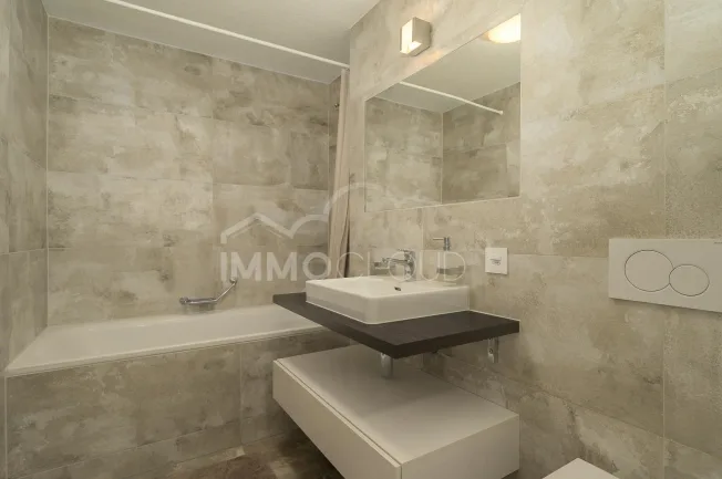 4.5 Zimmer Wohnung, 1031 Mex VD