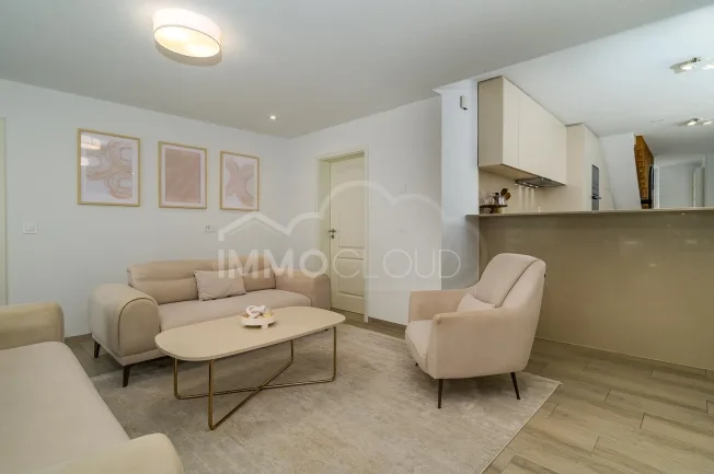 4.5 Zimmer Wohnung, 1031 Mex VD