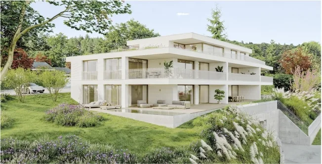 5.5 Zimmer Attikawohnung, 5734 Reinach AG