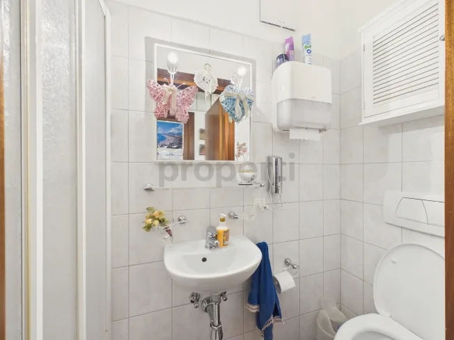 3.5 Zimmer Wohnung, 6612 Ascona