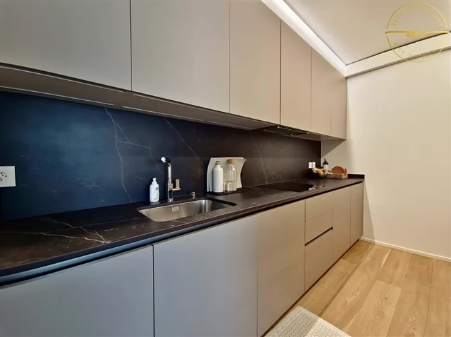 3.5 Zimmer Wohnung, 6900 Paradiso