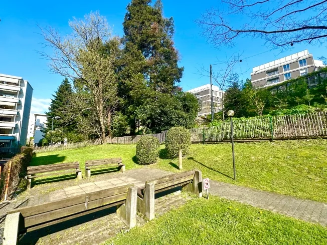 4.5 Zimmer Wohnung, 6900 Massagno