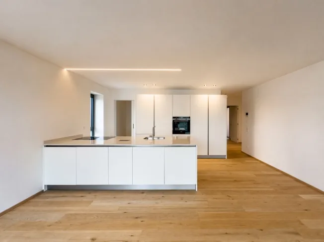 3.5 Zimmer Wohnung, 6900 Massagno