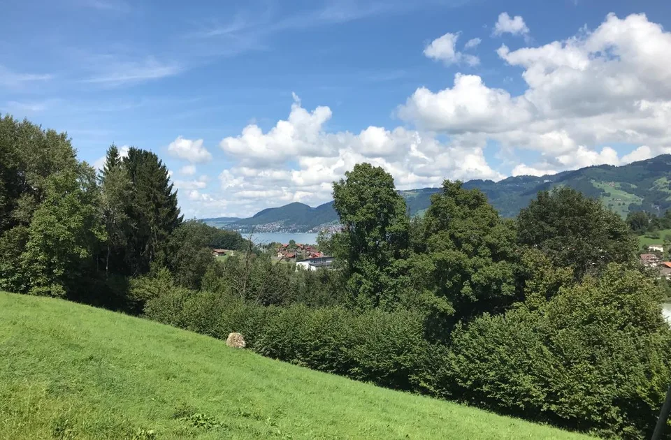 3.5 Zimmer Wohnung, 3700 Spiez