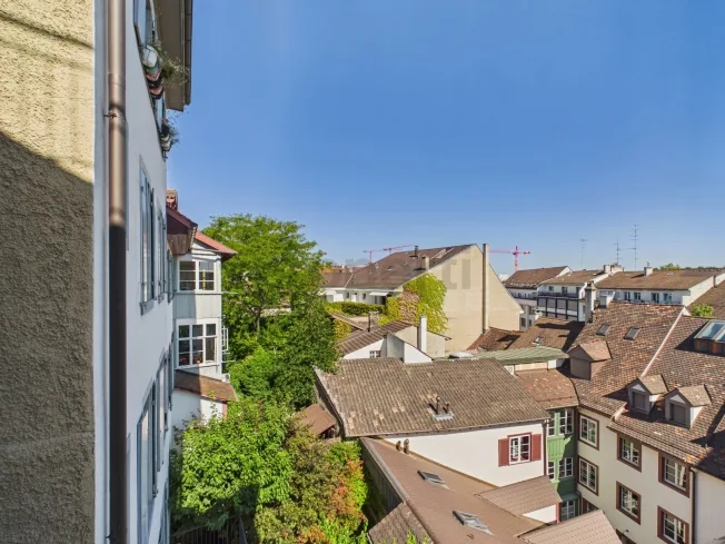 3.5 Zimmer Wohnung, 4051 Basel
