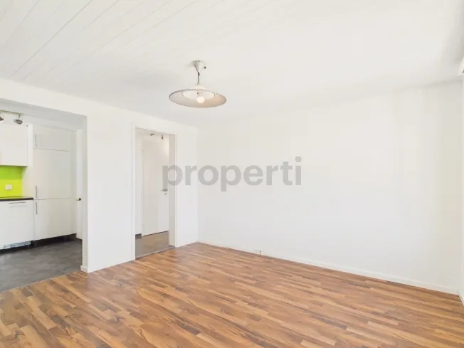 2 Zimmer Wohnung, 4414 Füllinsdorf