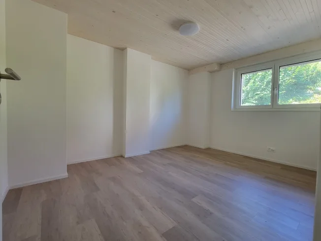 4 Zimmer Wohnung, 5728 Gontenschwil