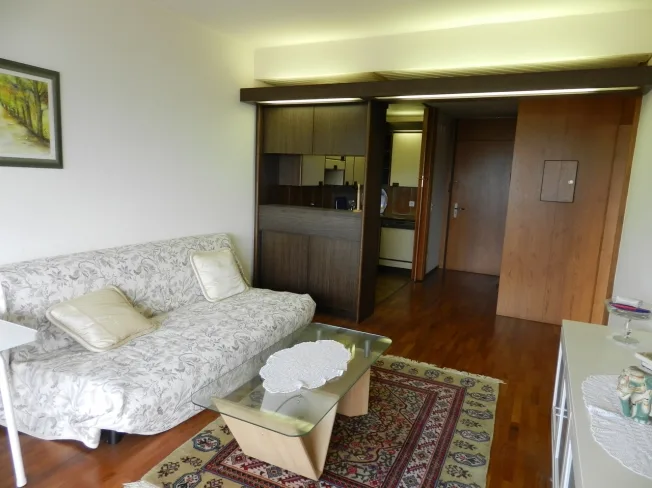 2.5 Zimmer möbl. Wohnobjekt, 6976 Castagnola