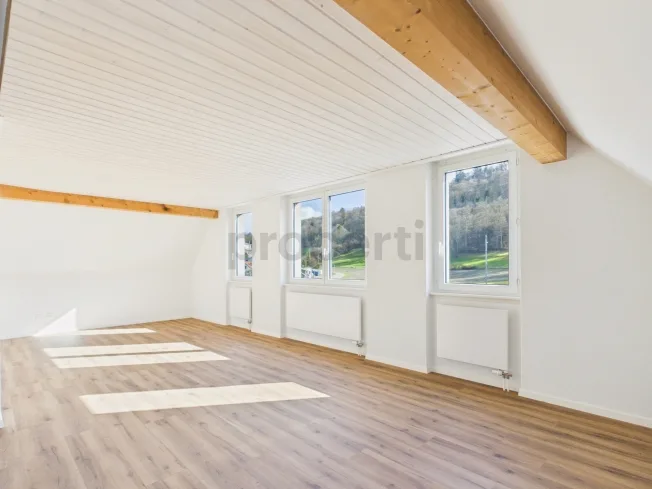 4 Zimmer Wohnung, 8246 Langwiesen
