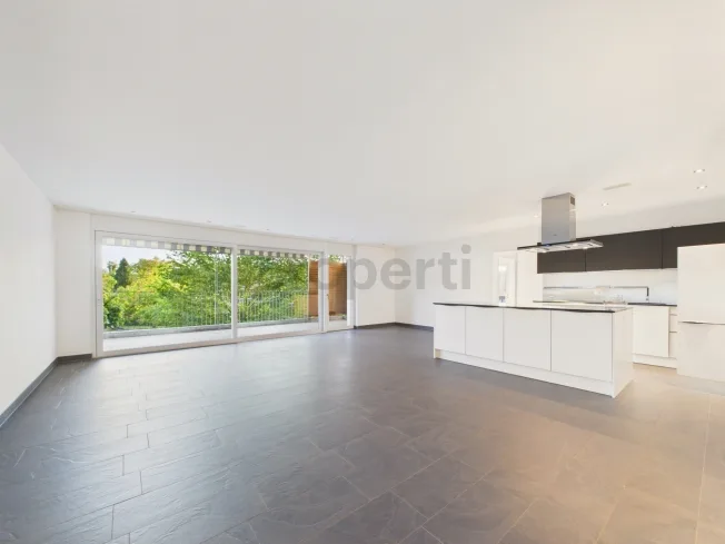 4.5 Zimmer Wohnung, 8447 Dachsen
