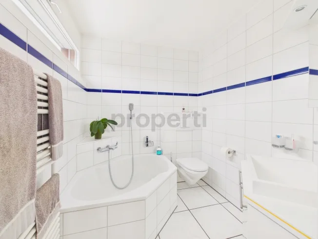 3.5 Zimmer Attikawohnung, 8610 Uster