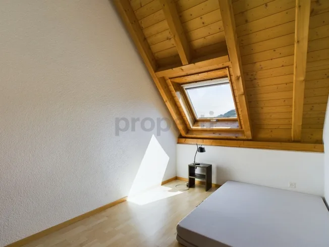 5.5 Zimmer Wohnung, 8887 Mels