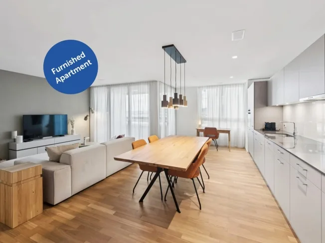 1.5 Zimmer möbl. Wohnobjekt, 8957 Spreitenbach