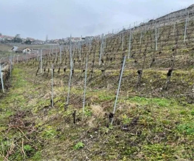 Wohnung, 1091 Bourg-en-Lavaux