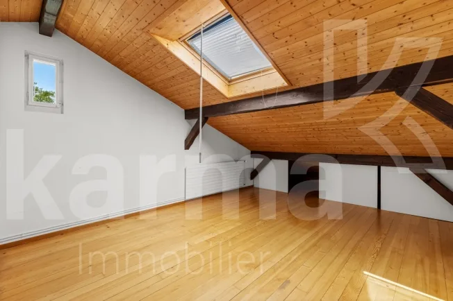 10 Zimmer Einfamilienhaus, 1294 Genthod