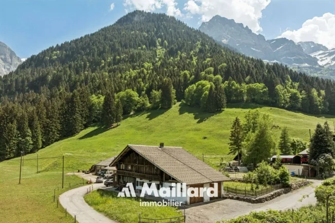 Chalet, 1874 Champéry