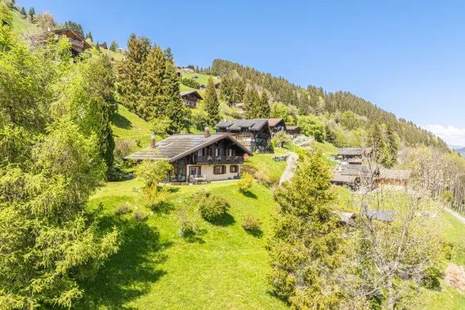 6.5 Zimmer Einfamilienhaus, 1874 Champéry