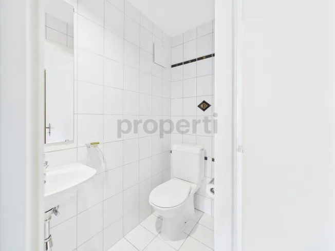 4.5 Zimmer Wohnung, 1965 Savièse