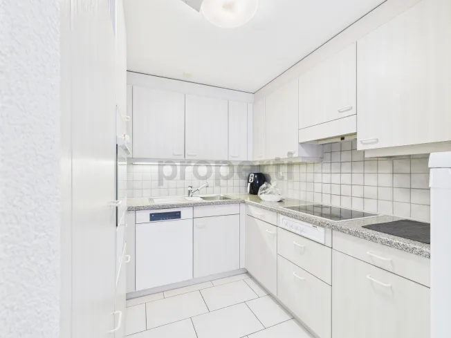 4.5 Zimmer Wohnung, 5727 Oberkulm
